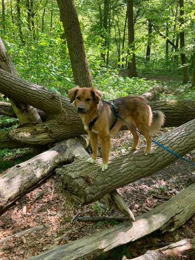 57. Handy Foto Challenge - klettern-Beitrag-Bild