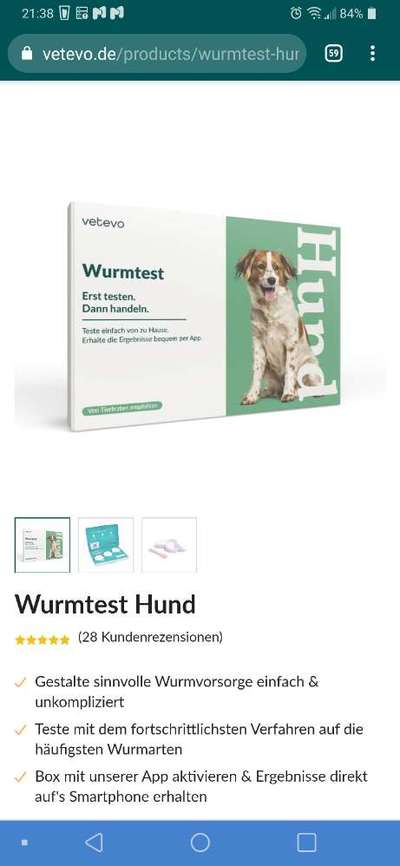 Wurmkur Hund-Beitrag-Bild