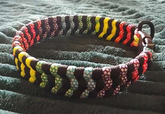 Hundehalsband aus Paracord 35,5 cm-Beitrag-Bild