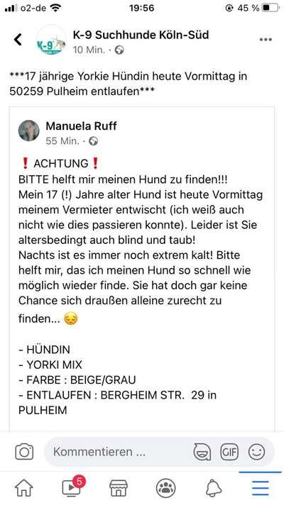 Entlaufene, Gefundene und Vermisste Hunde-Beitrag-Bild