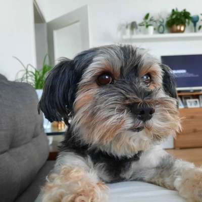 Malteser-Beitrag-Bild