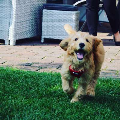 Her mit dem Grimassen-Beitrag-Bild