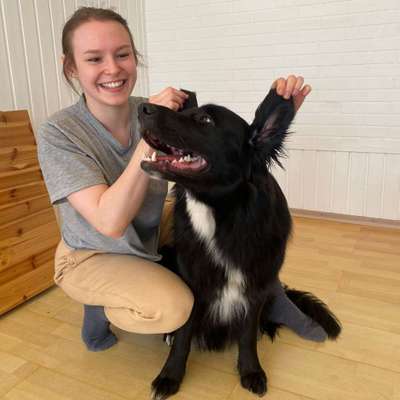 Hundetreffen-Gassi, Spielen, Rückruftraining