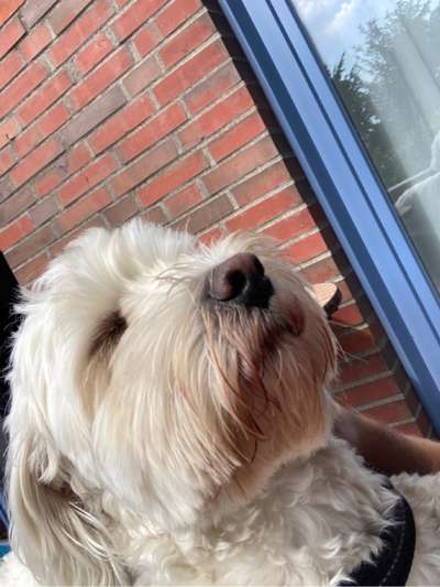 Foto-Challange No.1 - Alles aber nicht die Kamera-Beitrag-Bild