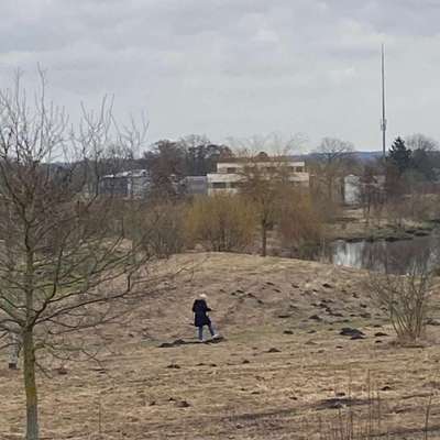 Giftköder-Warnung im Park! Vorsicht!-Bild