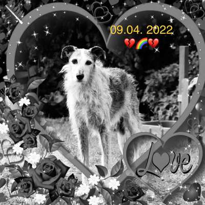 richtiger Zeitpunkt zum gehen lassen-Beitrag-Bild