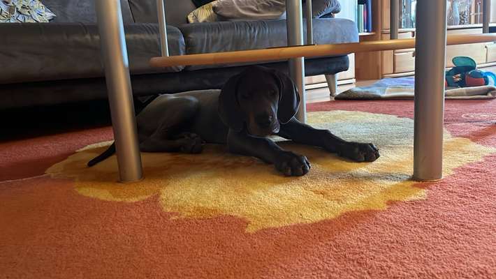 80. Foto  Challenge - Versteckt/ in einer Höhle-Beitrag-Bild