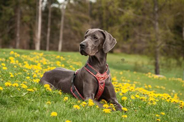 Austausch zur Fotografie-Beitrag-Bild