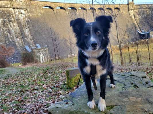 Lieblingsbild-Beitrag-Bild