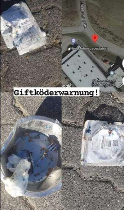Giftköder-Rattengift unterhalb von Aldi-Bild
