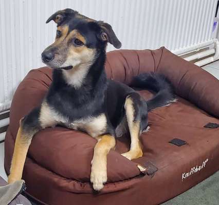 Lieblingsbild-Beitrag-Bild