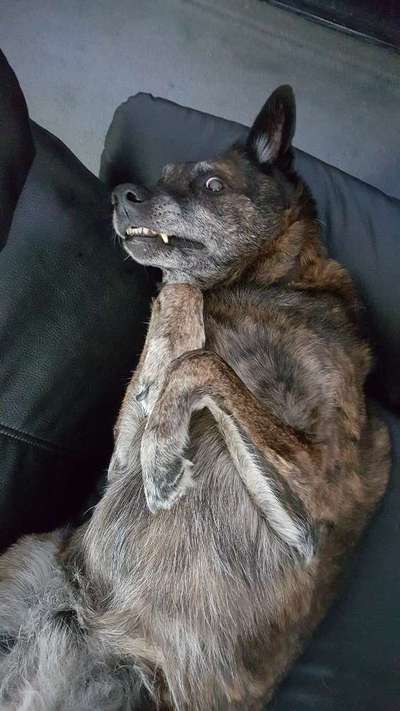 Lieblingsbild-Beitrag-Bild