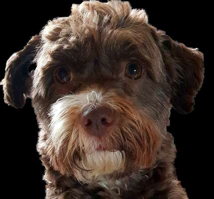 Fotochallange Nr. 57     PORTRÄT.   Beendet!!!!!!!!-Beitrag-Bild