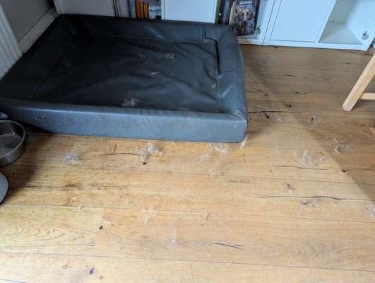 Extremer Haarausfall-Beitrag-Bild