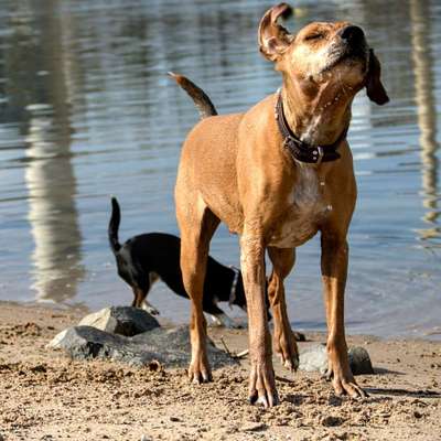 Moviestar-Pics!-Beitrag-Bild