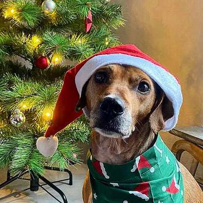 Moviestar-Pics!-Beitrag-Bild