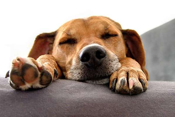 Moviestar-Pics!-Beitrag-Bild