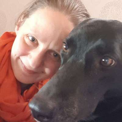 Hundetreffen-Gassi gehen im Schnee-Profilbild