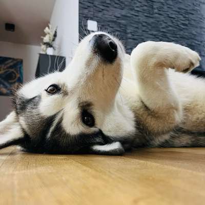 Yasemin's Profilbild