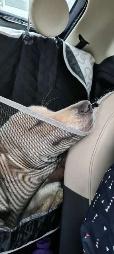 CHALLENGE NR. 18 - ON TOUR-Beitrag-Bild