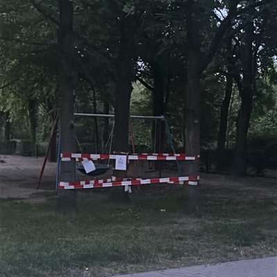 Giftköder-Eichenprozessionsspinne-Bild