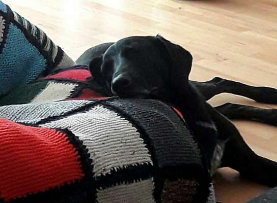 Die unbequemsten und lustigsten Schlafpositionen-Beitrag-Bild