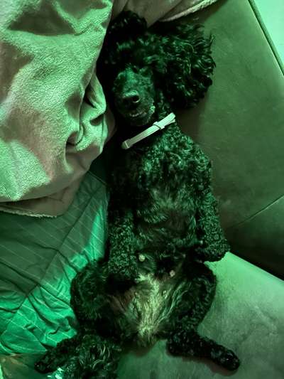 Foto Challenge - Zeigt her eure Bäuche-Beitrag-Bild