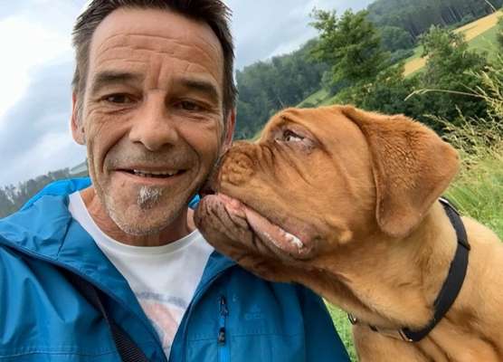 Bordeaux Dogge-Beitrag-Bild