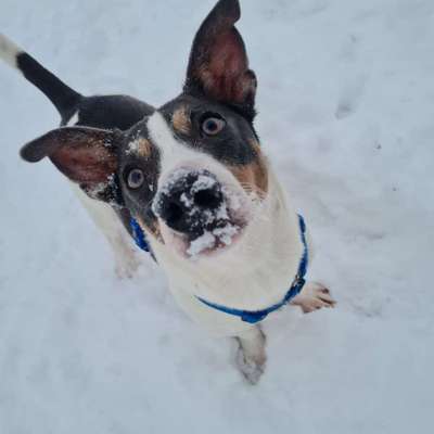 14. Farbenfoto-Challenge "Weiss"-Beitrag-Bild