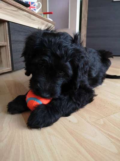 Vorher.... Nachher-Beitrag-Bild