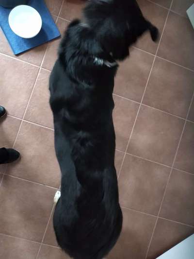 Der Gewichts-Thread-Beitrag-Bild