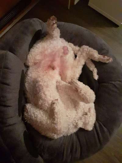 Die unbequemsten und lustigsten Schlafpositionen-Beitrag-Bild