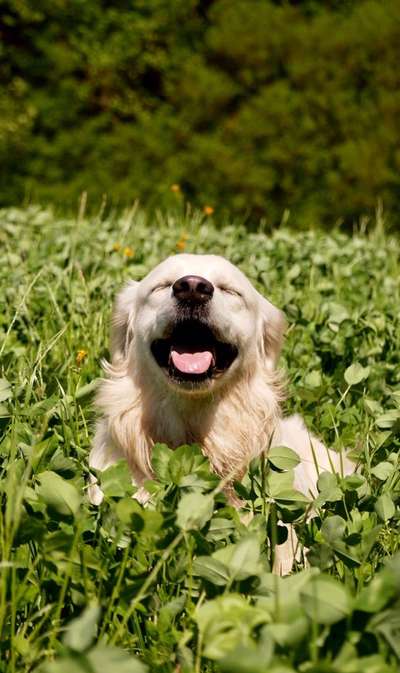 Lieblingsbild-Beitrag-Bild