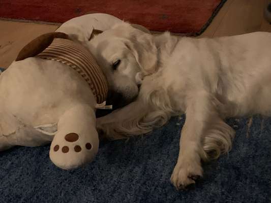 Zeigt eure Portraits-Beitrag-Bild