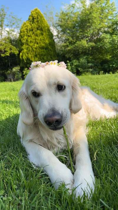 Zeigt eure Portraits-Beitrag-Bild