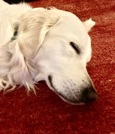 11. Farben Foto Challenge Rot-Beitrag-Bild