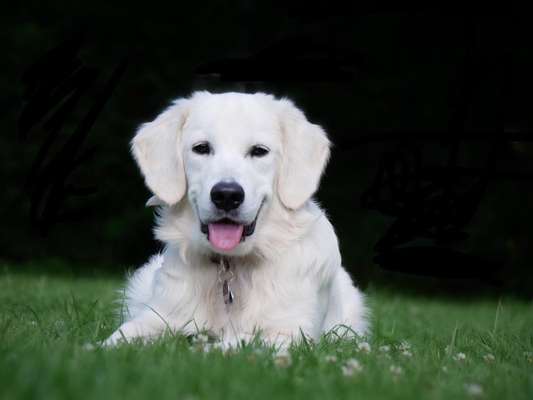 Zeigt eure Portraits-Beitrag-Bild