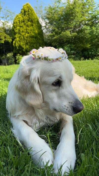 Lieblingsbild-Beitrag-Bild