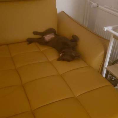 Susanne's Profilbild