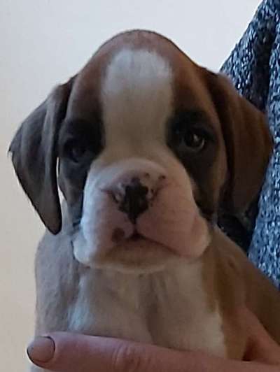 Fotowettbewerb-Beitrag-Bild