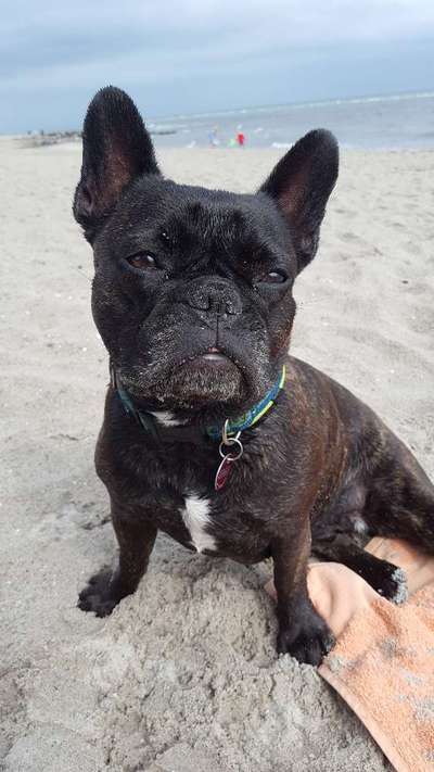 Fotowettbewerb Natur-Beitrag-Bild