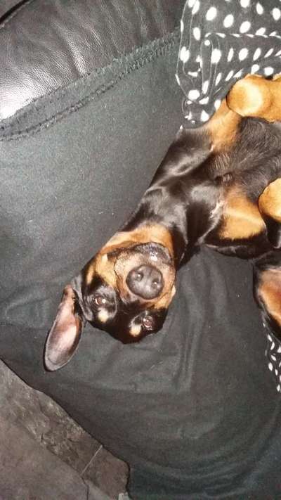 Fotochallenge Nr. 67: Euer Lieblingsbild-Beitrag-Bild