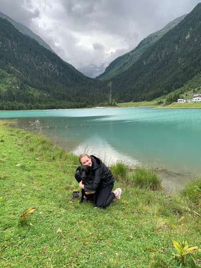 Hundetreffen-Gassi & Spielen-Bild