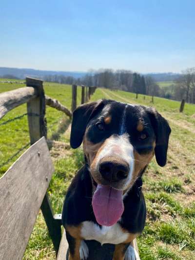 Tongue Out Tuesday-Beitrag-Bild