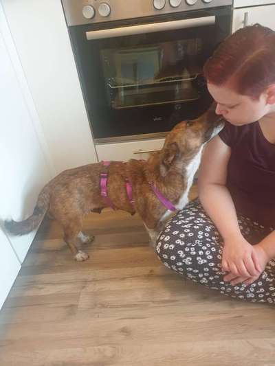 Fotochallange Nummer 5-Beitrag-Bild