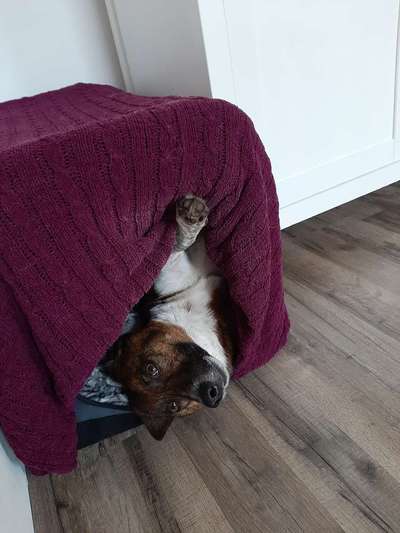 Die unbequemsten und lustigsten Schlafpositionen-Beitrag-Bild