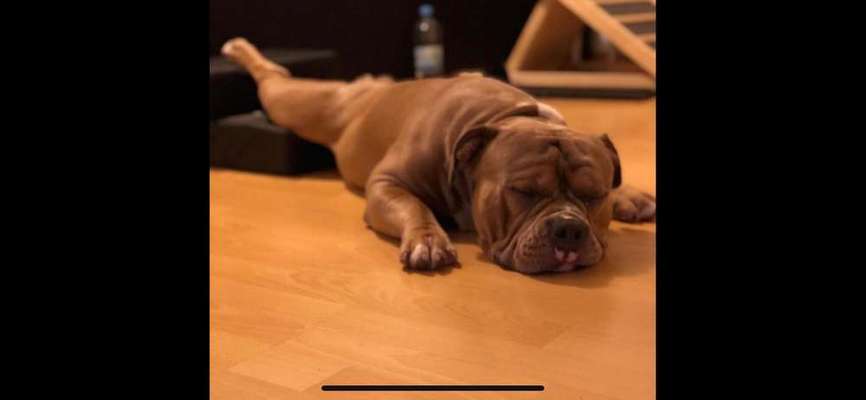 Die unbequemsten und lustigsten Schlafpositionen-Beitrag-Bild