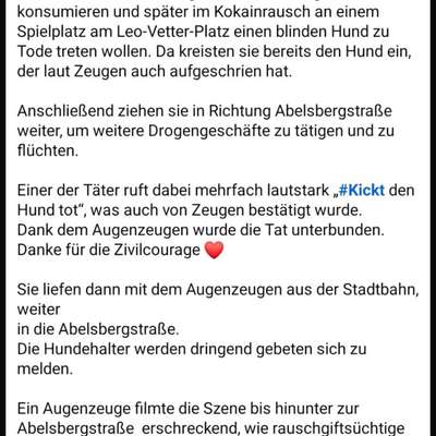 Giftköder-Angriff auf Hund - Zeugen / Halter ges.-Bild