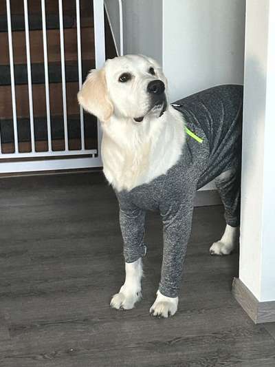 Mit 10 Monaten Patellaluxation-Beitrag-Bild