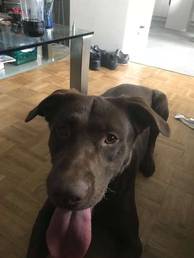 Von oben-Beitrag-Bild